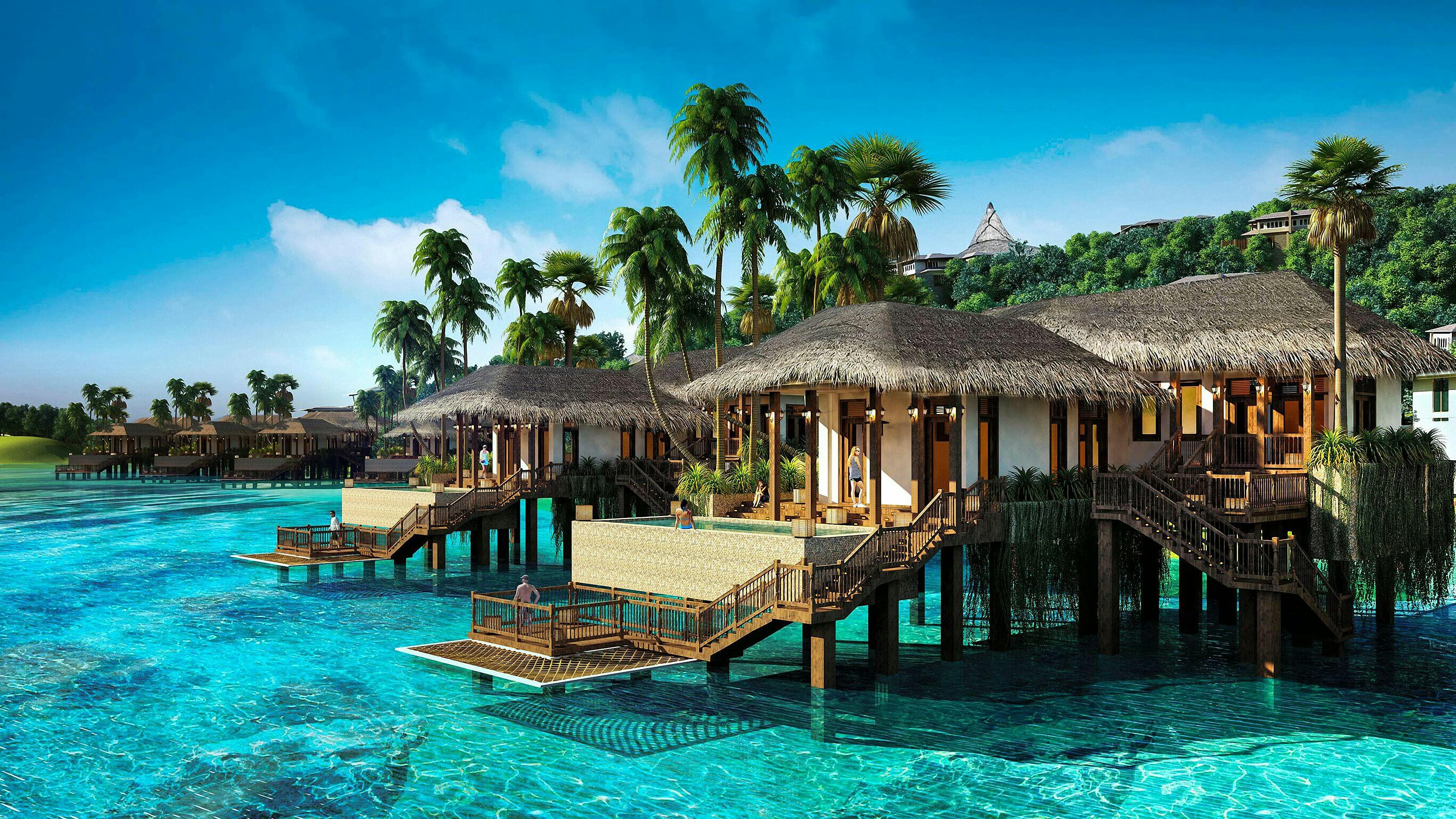 Tropical Oasis